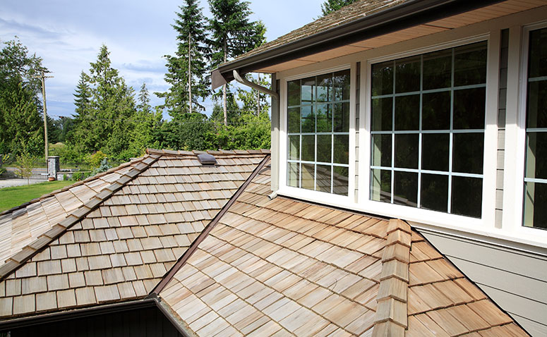 Top Signs Your Cedar Shake Roof Needs Maintenance or Replacement